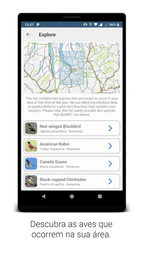 BirdNET screenshot
