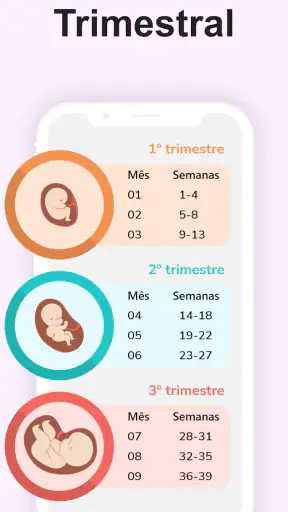 Calculadora de Gravidez screenshot