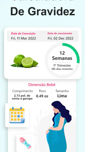 Calculadora de Gravidez screenshot