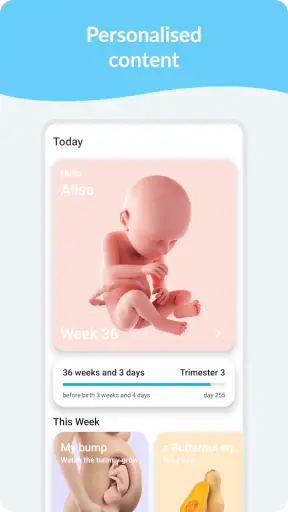 Calendário de Gravidez screenshot