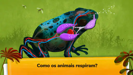 Como funcionam os animais? screenshot