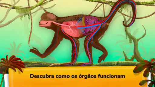 Como funcionam os animais? screenshot