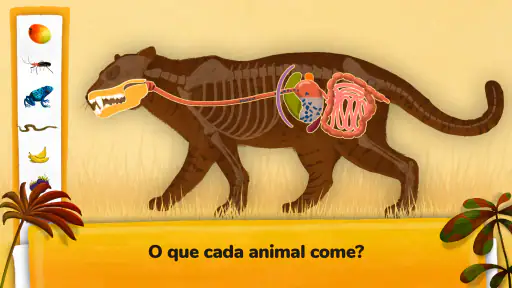 Como funcionam os animais? screenshot