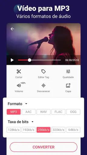 Conversor Video para Audio/MP3 screenshot