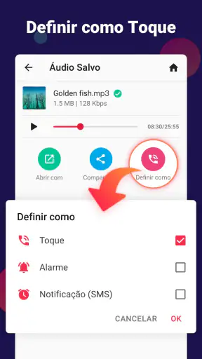 Conversor Video para Audio/MP3 screenshot