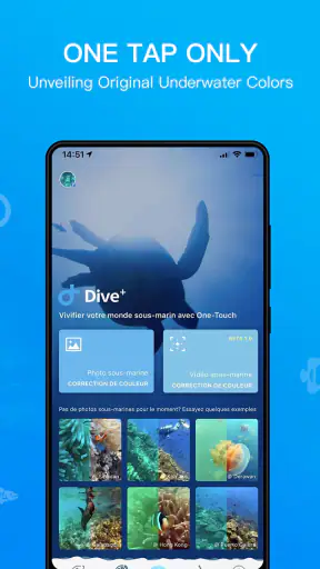 Dive+ : Comunidade de mergulho screenshot