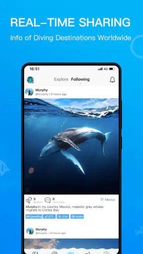 Dive+ : Comunidade de mergulho screenshot