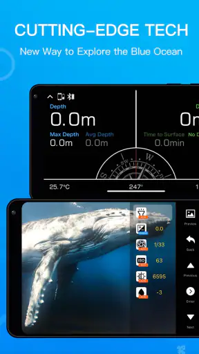 Dive+ : Comunidade de mergulho screenshot