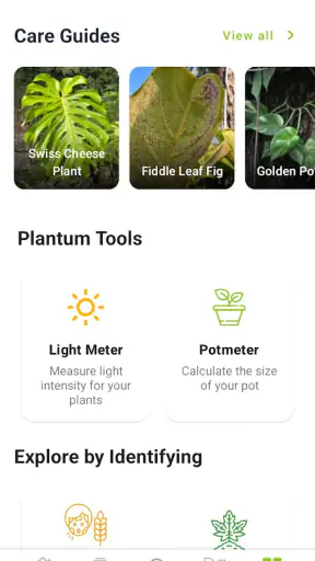 Doença de planta screenshot