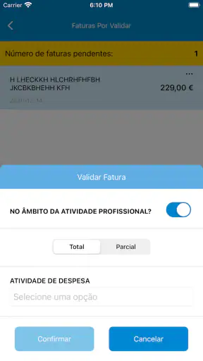 e-fatura screenshot