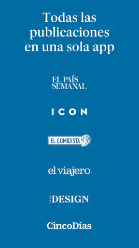 EL PAÍS screenshot