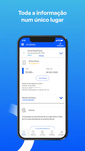 Endesa Portugal screenshot