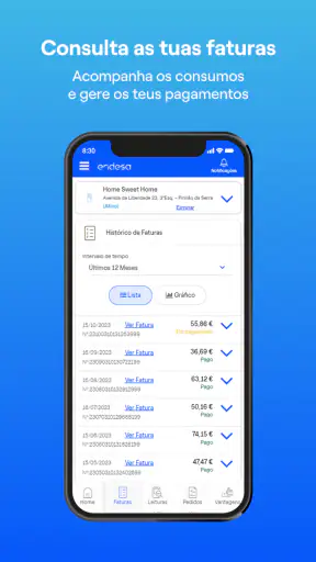 Endesa Portugal screenshot
