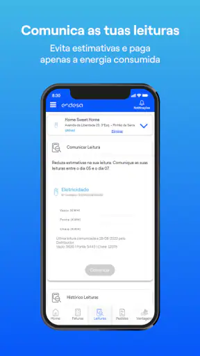 Endesa Portugal screenshot