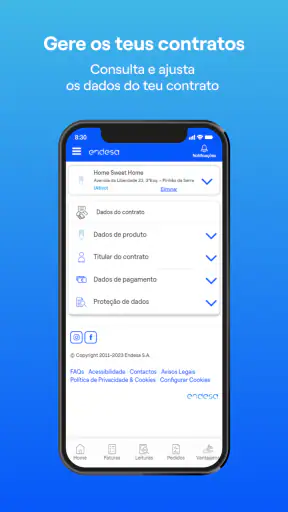 Endesa Portugal screenshot