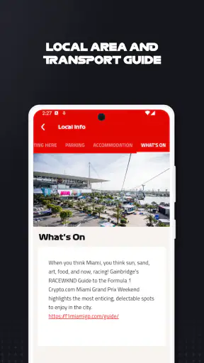 F1 Race Guide screenshot