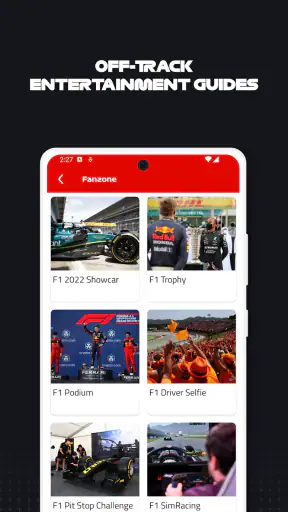 F1 Race Guide screenshot