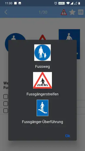 Fahrlehrer24 screenshot
