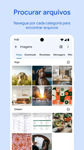 Files do Google screenshot