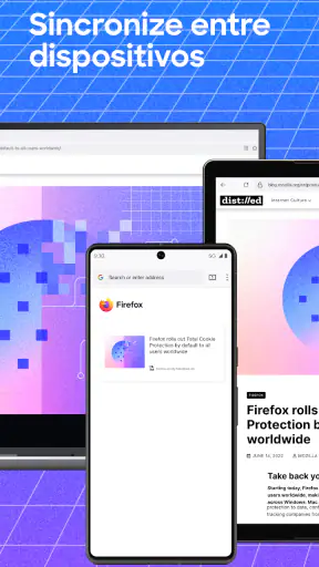 Firefox: navegador privado screenshot