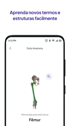 Flashcards do Daily Anatomy screenshot