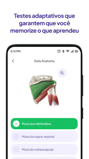 Flashcards do Daily Anatomy screenshot