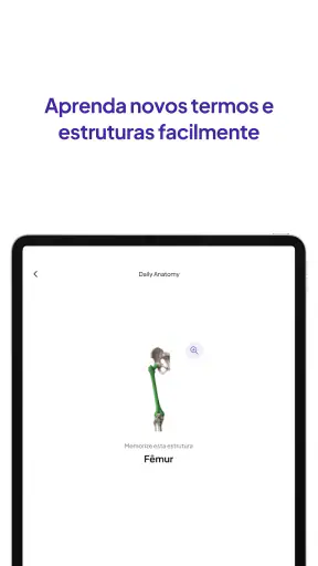 Flashcards do Daily Anatomy screenshot
