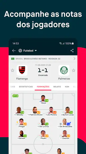 Flashscore: Resultados ao Vivo screenshot