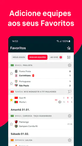 Flashscore: Resultados ao Vivo screenshot