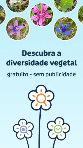 Flora Incognita screenshot