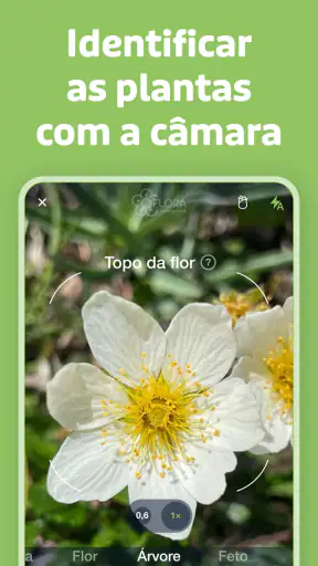 Flora Incognita screenshot