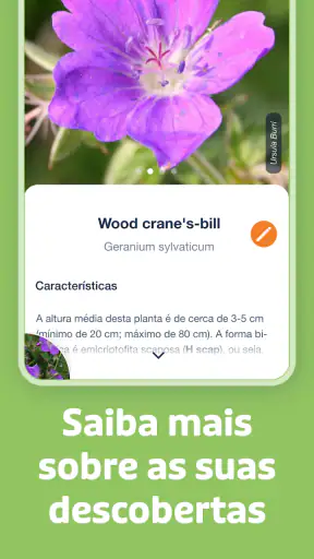 Flora Incognita screenshot