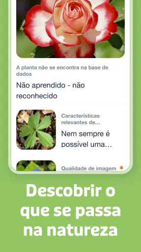 Flora Incognita screenshot
