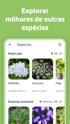 Flora Incognita screenshot
