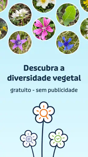 Flora Incognita screenshot
