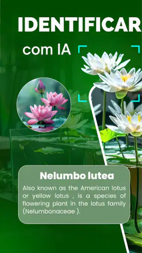 Florify: AI Plant Identifier screenshot