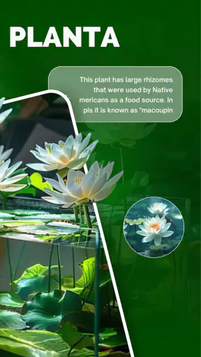 Florify: AI Plant Identifier screenshot
