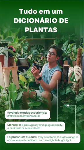 Florify: AI Plant Identifier screenshot