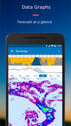 Flowx: Weather Map Forecast screenshot