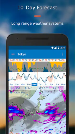 Flowx: Weather Map Forecast screenshot