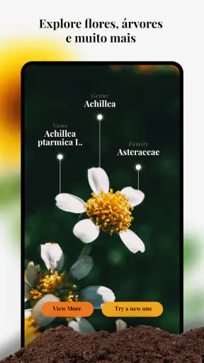 Gênio do Jardim: Identificador screenshot