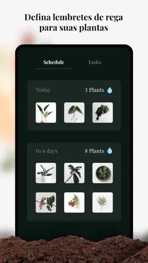 Gênio do Jardim: Identificador screenshot
