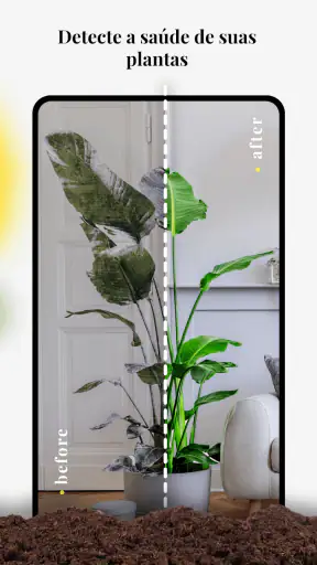Gênio do Jardim: Identificador screenshot