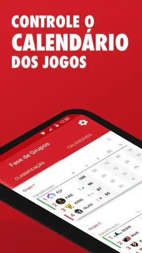 Gerenciador de campeonatos screenshot