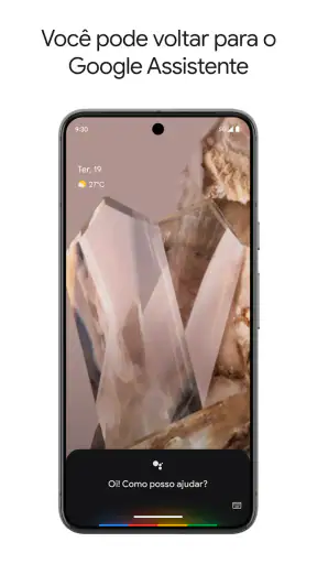 Google Assistente screenshot