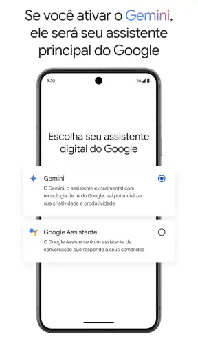 Google Gemini screenshot
