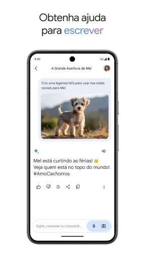 Google Gemini screenshot