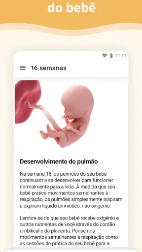 Gravidez screenshot
