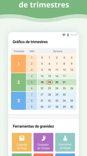 Gravidez screenshot