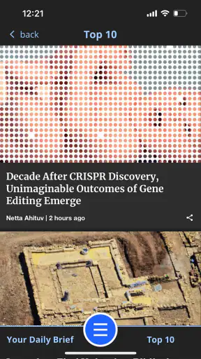 Haaretz English Edition screenshot